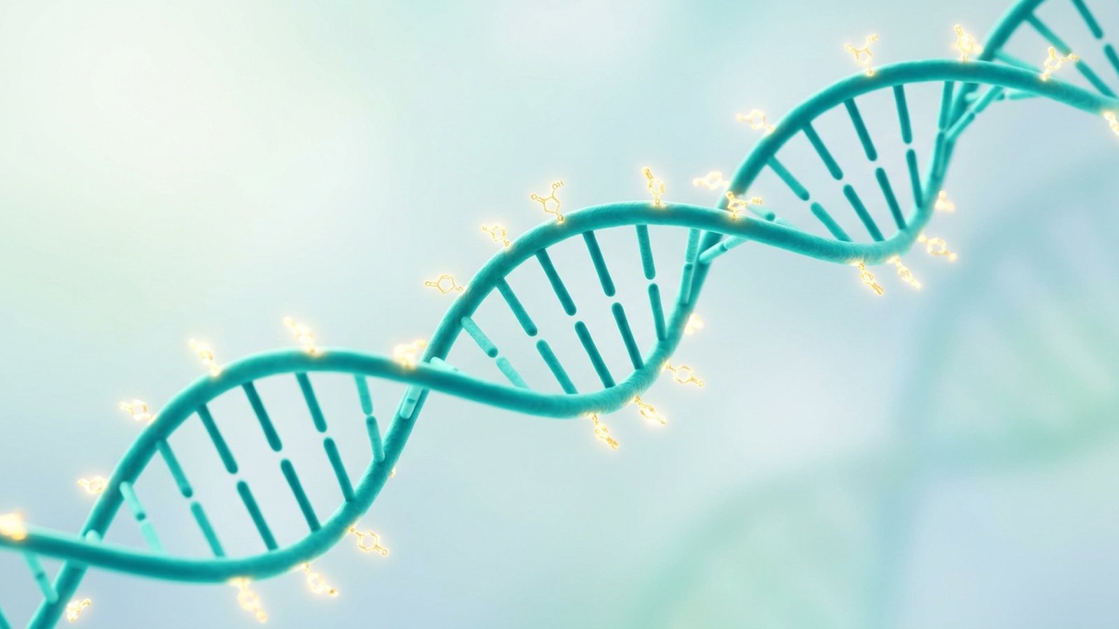 Scientific illustration of a teal DNA double helix with small gold chemical tags along its length.