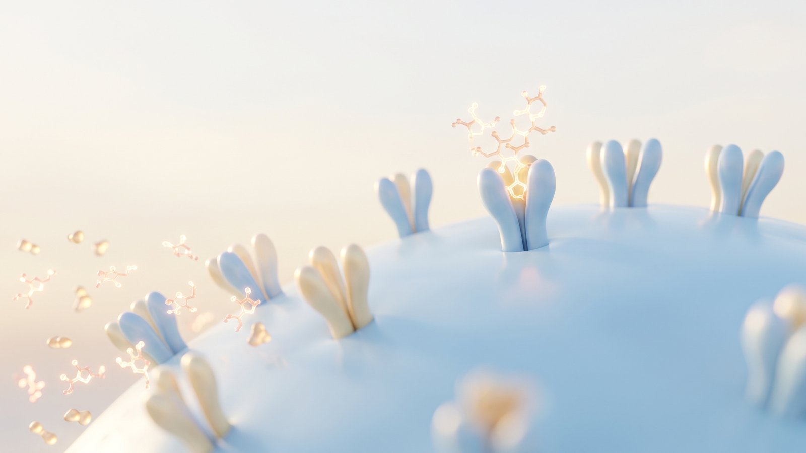 Scientific illustration of insulin molecules docking onto receptors on a cell surface.