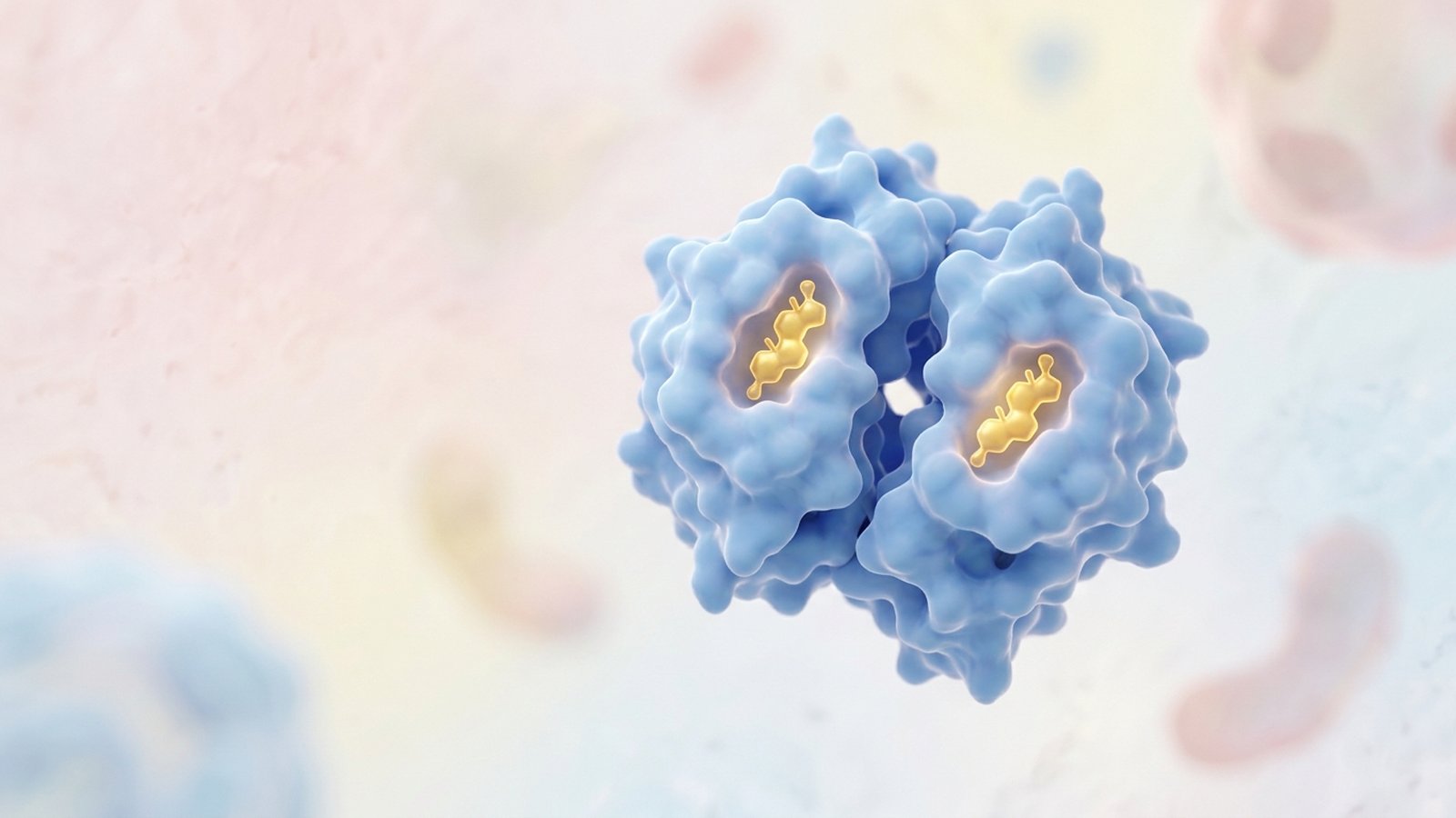 Scientific illustration of a blue carrier protein holding two small gold hormone molecules.